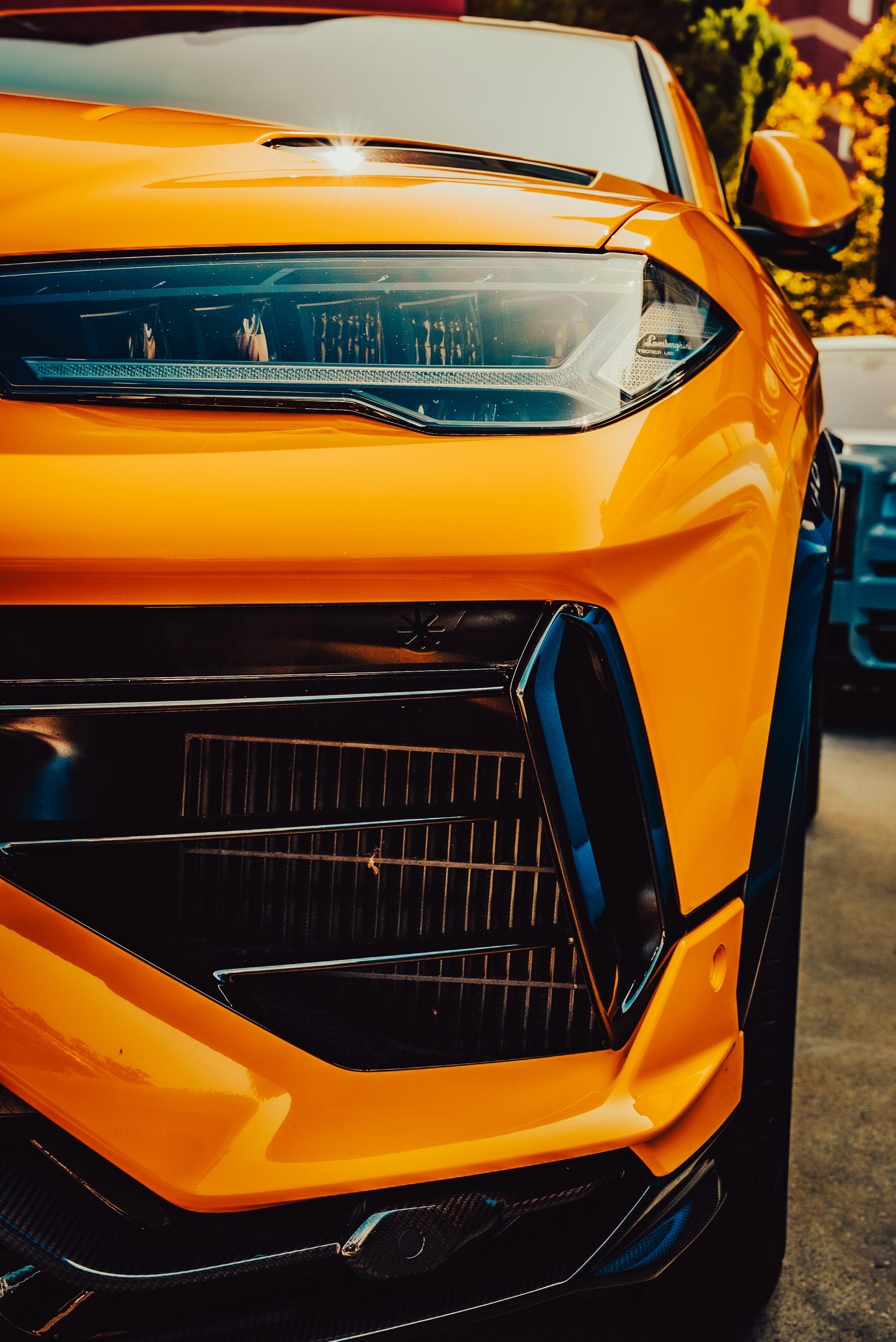 Front guard of an orange performance car in low evening sun