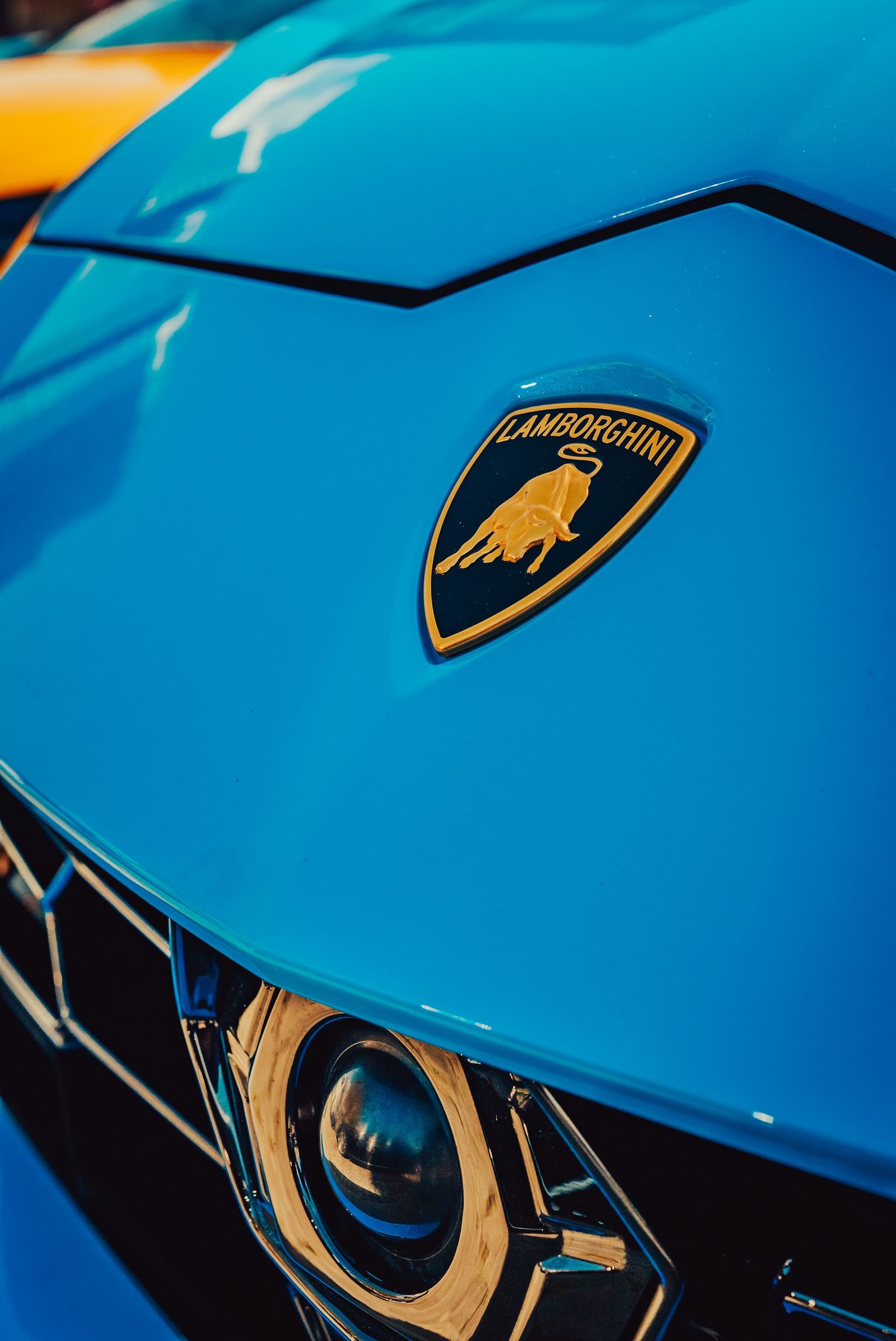 Gold crest badge on a bright blue hood above a sculpted headlamp