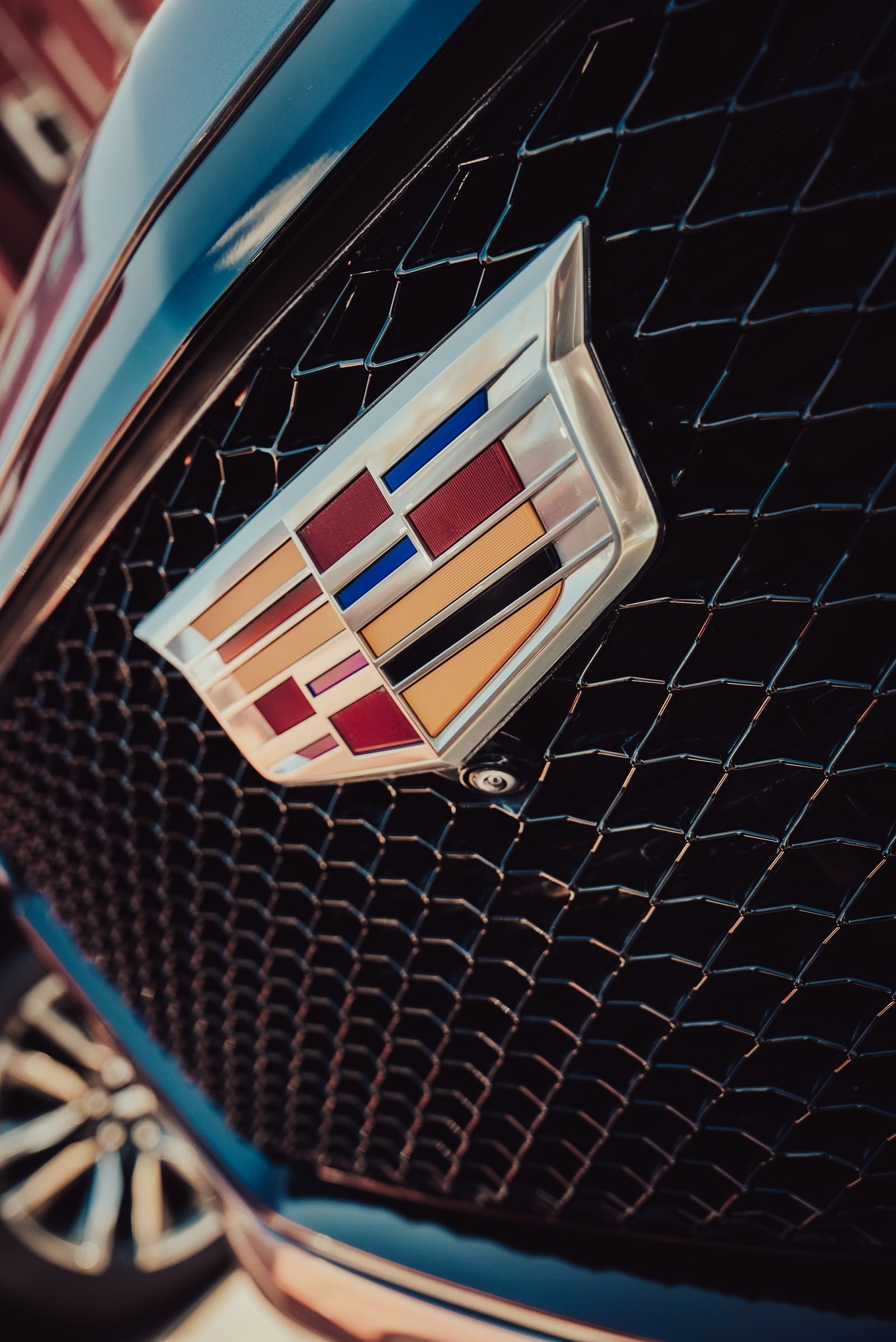 Enamel crest set into a woven black mesh grille