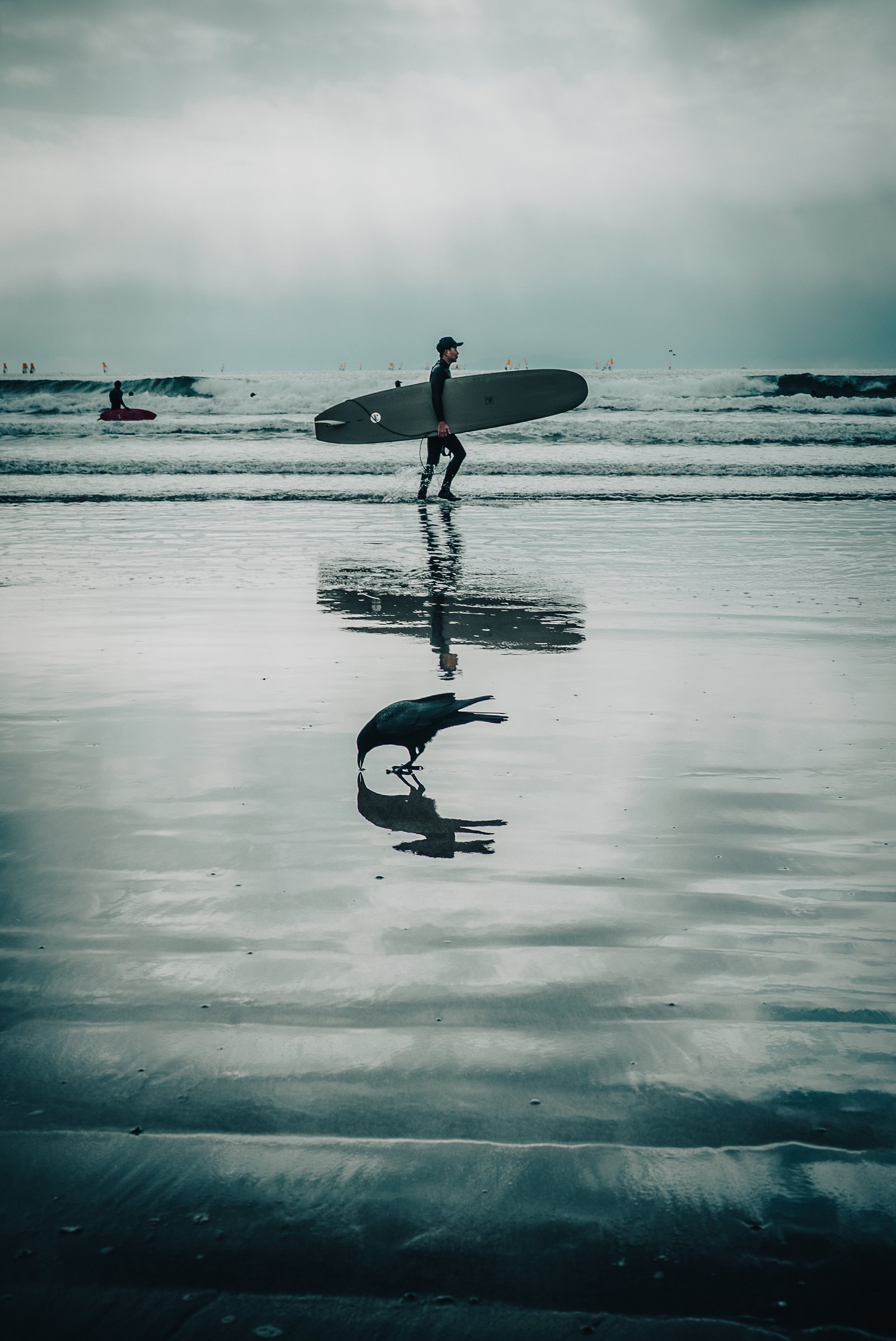 A longboard surfer walking through the shallows while, below him, a crow bends to touch its own reflection on the wet sand