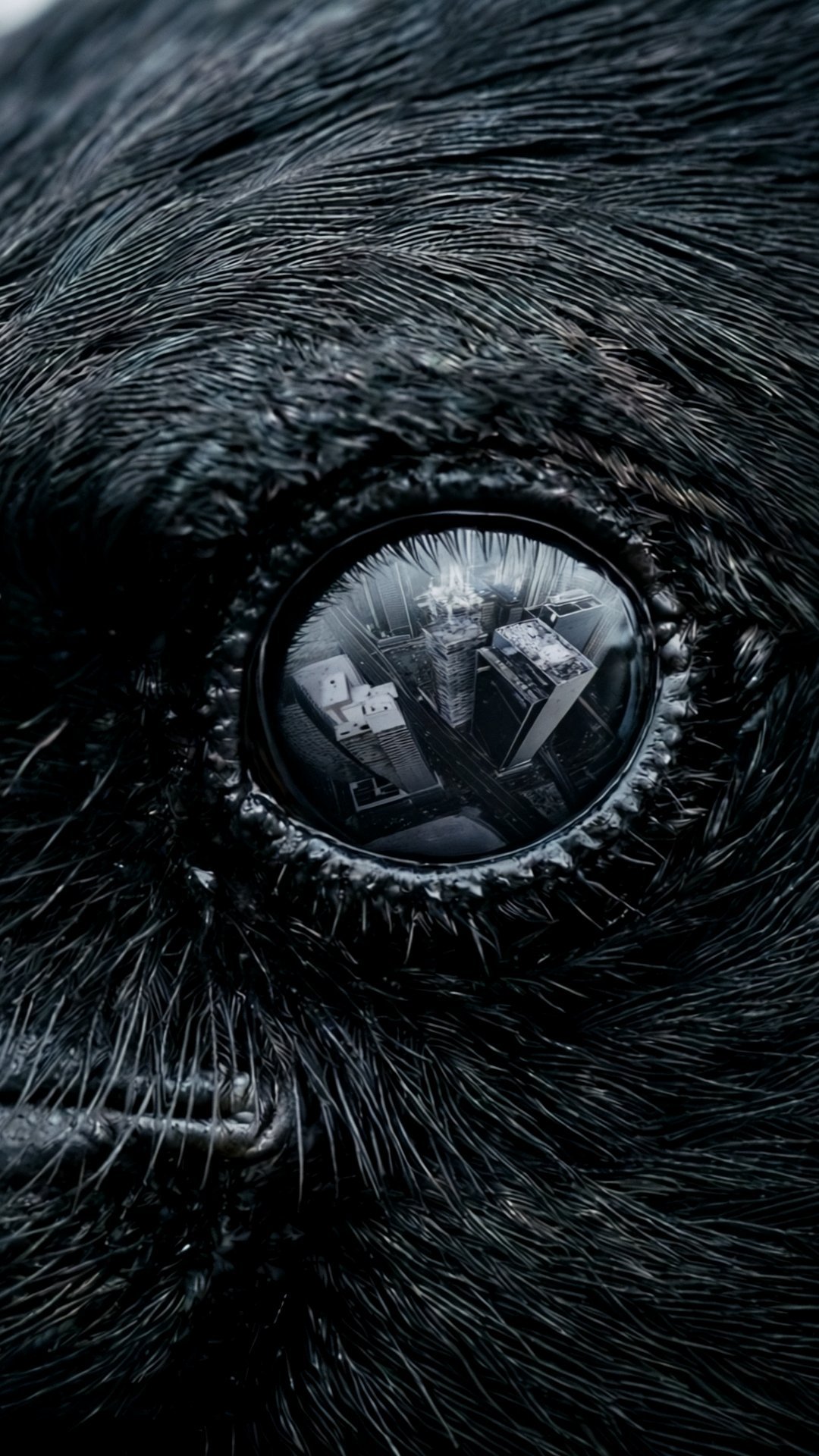 Extreme close-up of a raven's eye holding an aerial view of a city inside it